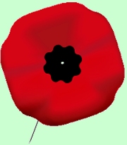 Remembrance Day poppy - Canada